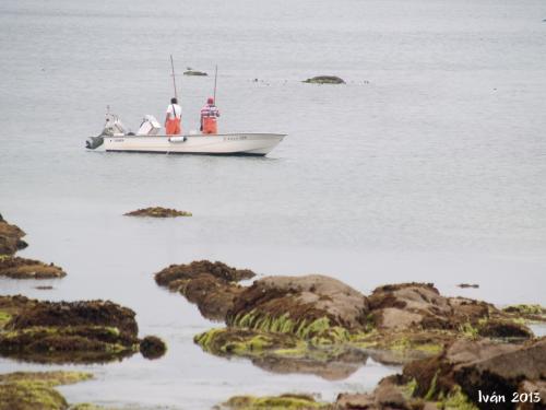 Trabajando el marisco desde la barca