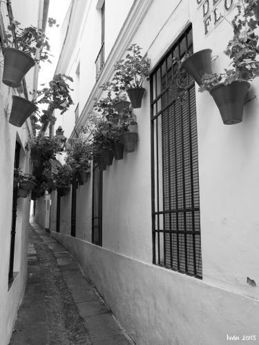 Callejón de las Flores
