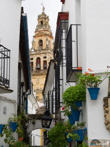 Callejón de las Flores