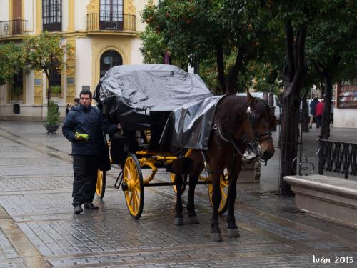 Cuidando la lluvia