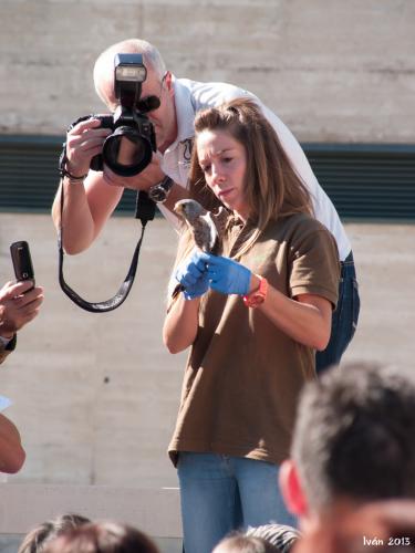 Curso de iniciación a la fotografía