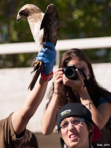 Curso de iniciación a la fotografía