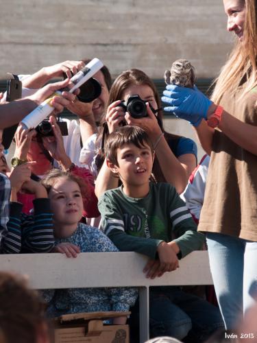 Curso de iniciación a la fotografía