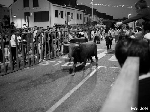 Encierro nocturno