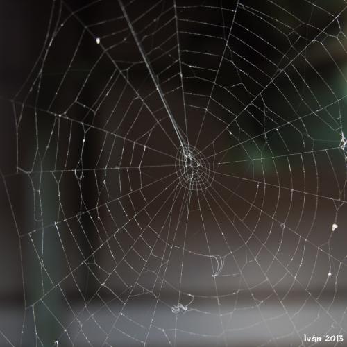 Fábrica de harinas 'La Confianza'