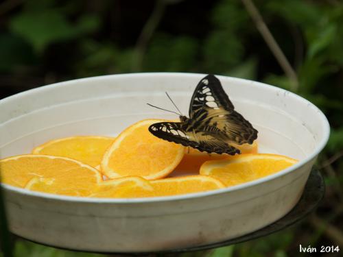 Mariposario