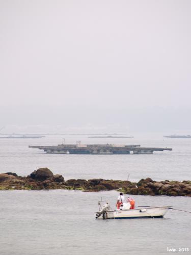 Marisqueo en barca